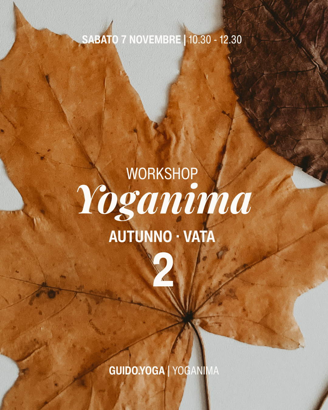 Workshop Yoganima. VATA2